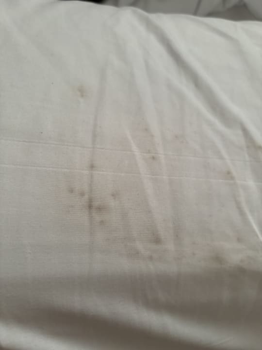 Zimmer Hotel Front Maritim