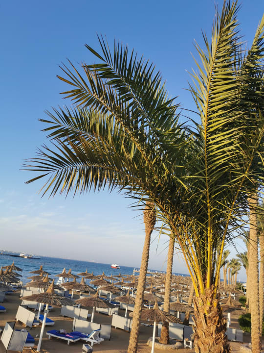 Strand Pickalbatros Jungle Aqua Park Resort - Neverland Hurghada
