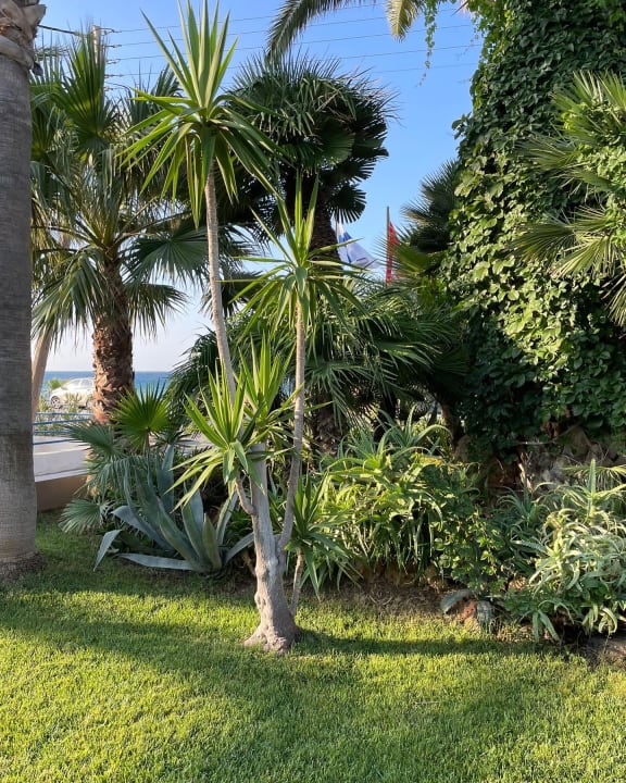 Gartenanlage Tylissos Beach Hotel