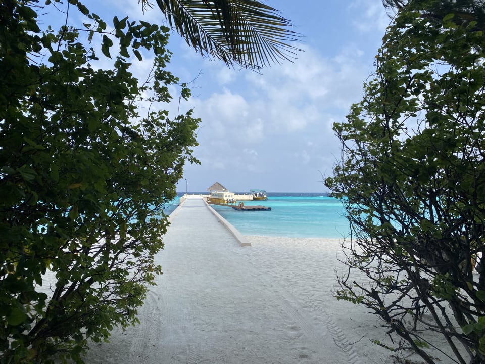 "Ausblick" Summer Island Maldives (Gaafaru) • HolidayCheck (Kaafu Atoll ...