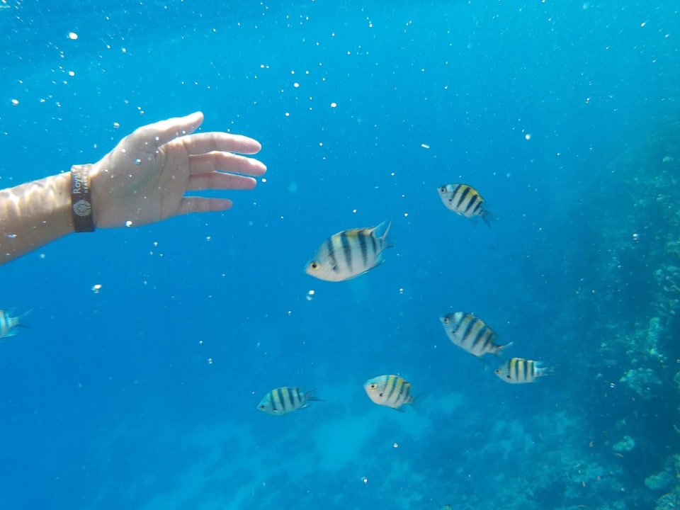 Schnorcheln Casa Mare Resort