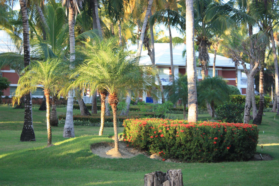 Gartenanlage im Bavaroabschnitt Grand Palladium Punta Cana Resort & Spa