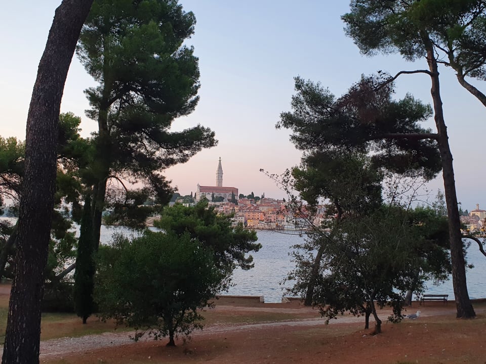 Ausblick Maistra Select Island Hotel Katarina