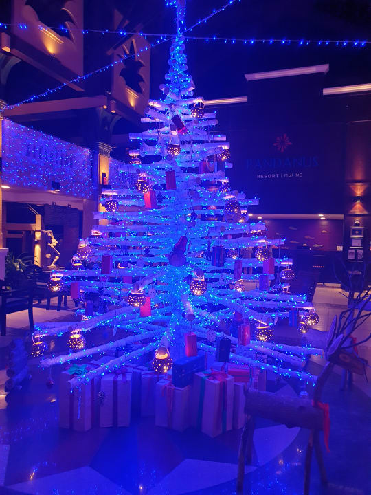 Lobby Pandanus Resort