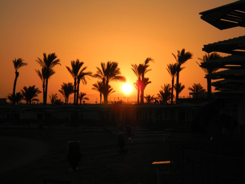 Sonnenaufgang Pickalbatros Dana Beach Resort - Hurghada
