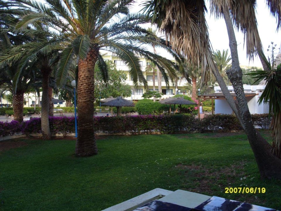 Aussicht aus Zi im 1. Stock SBH Fuerteventura Playa