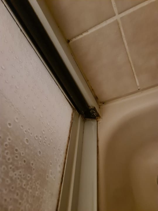 Zimmer Heidehotel Soltauer Hof