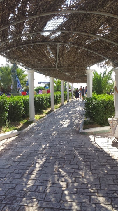 Weg zum Strand am Pool 3 vorbei Sandy Beach Resort