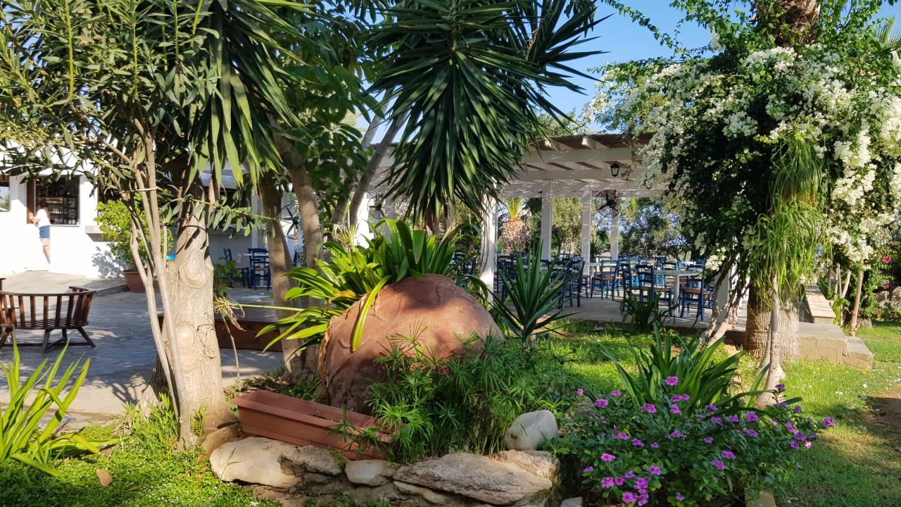 Gartenanlage Crystal Springs Beach Hotel