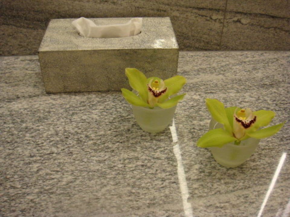 Particolare Tschuggen Grand Hotel Arosa