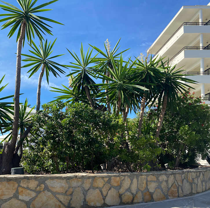 Gartenanlage allsun Hotel Bahia del Este