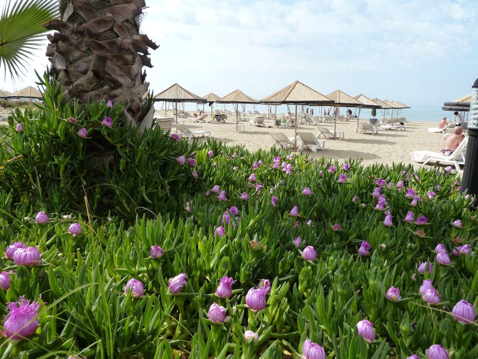 Blick von der Anlage Hotel Defne Garden