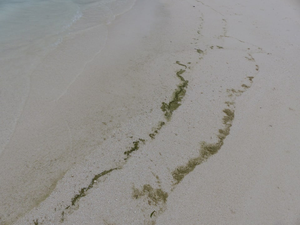 Strand Meeru Maldives Resort Island