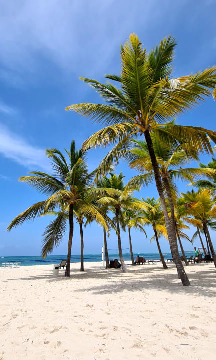 Strand Dreams Royal Beach Punta Cana