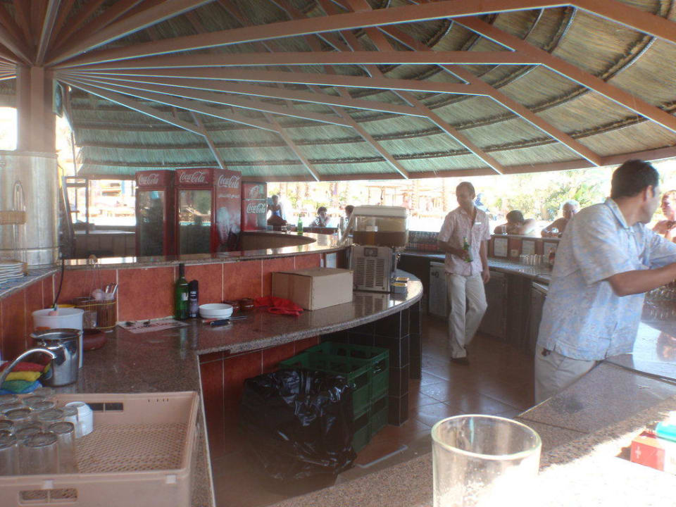 Bar Pickalbatros Palace Resort