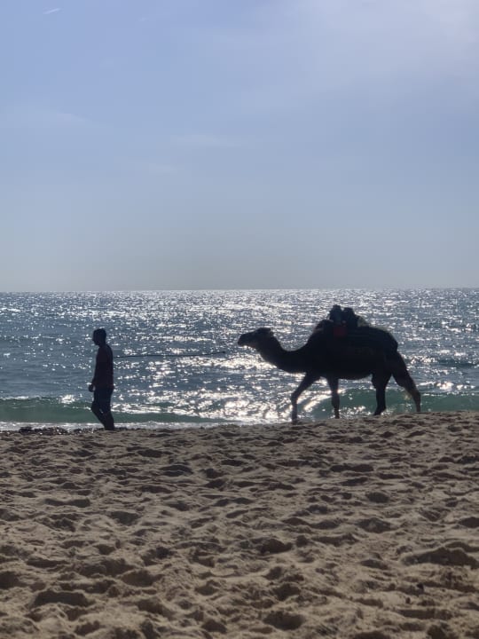 Strand Omar Khayam Resort & Aquapark