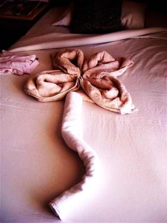 Zimmerpersonal Pickalbatros Alf Leila Wa Leila Resort - Neverland Hurghada