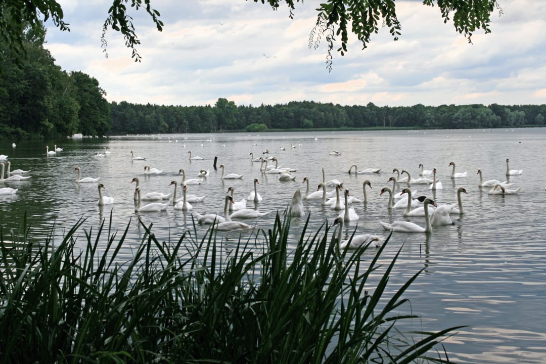 Heide- und Teichlandschaft Pension Body Sun