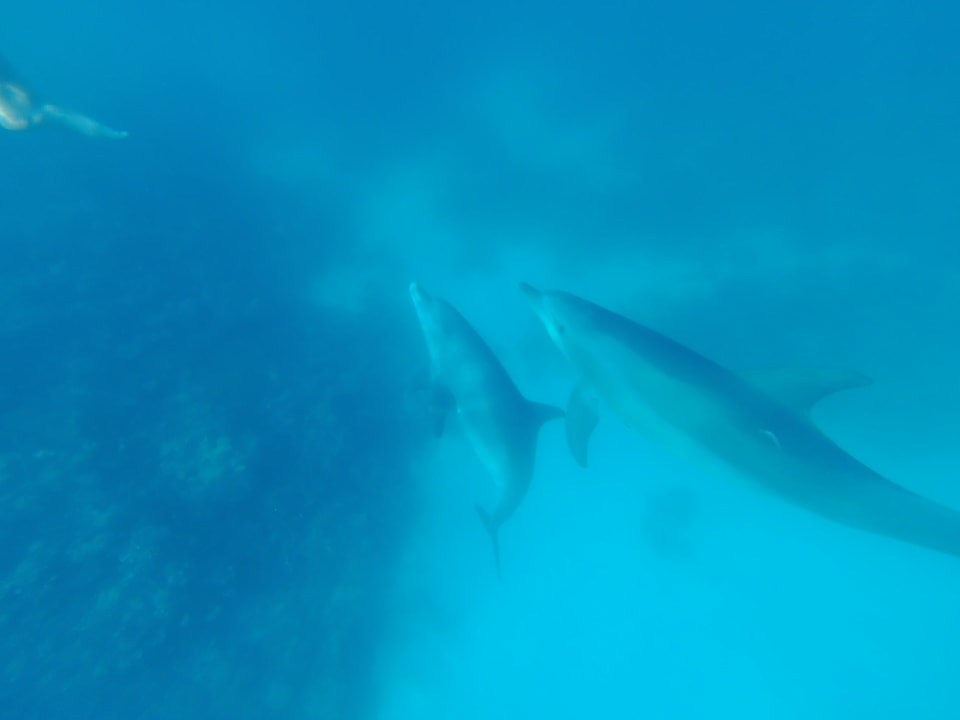Sonstiges Club Paradisio El Gouna, Red Sea