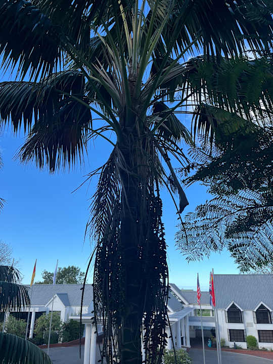 Außenansicht Fancourt Hotel