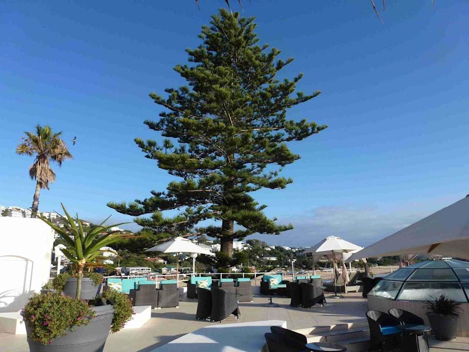 Hotel Beacon Island Hotel Beacon Island