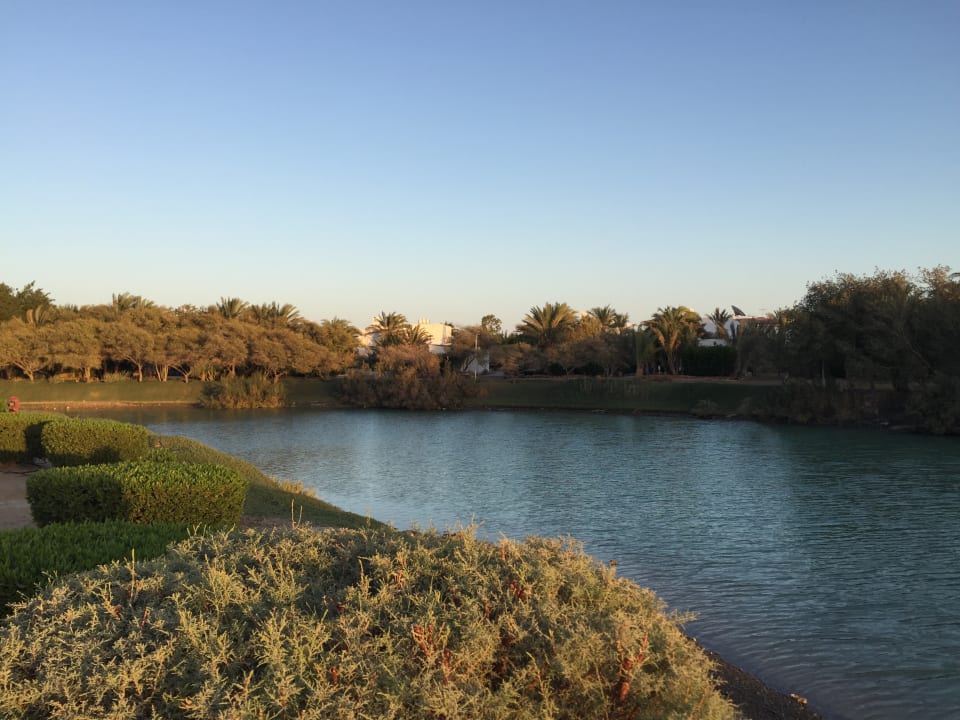 Ausblick Club Paradisio El Gouna, Red Sea