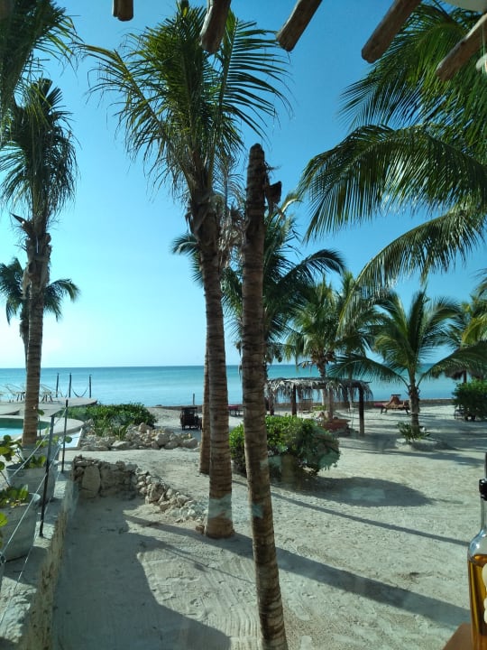 Ausblick Hotel Villas Flamingos