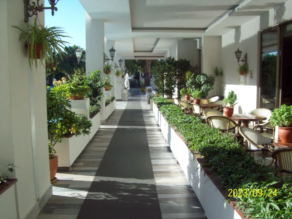 Gastro Castival Hotel