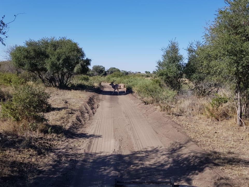 Sport & Freizeit Hotel Ndhovu Safari Lodge