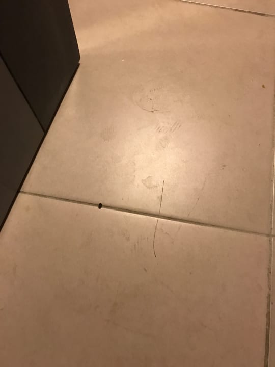 Zimmer Hotel Pine Bay Holiday Resort