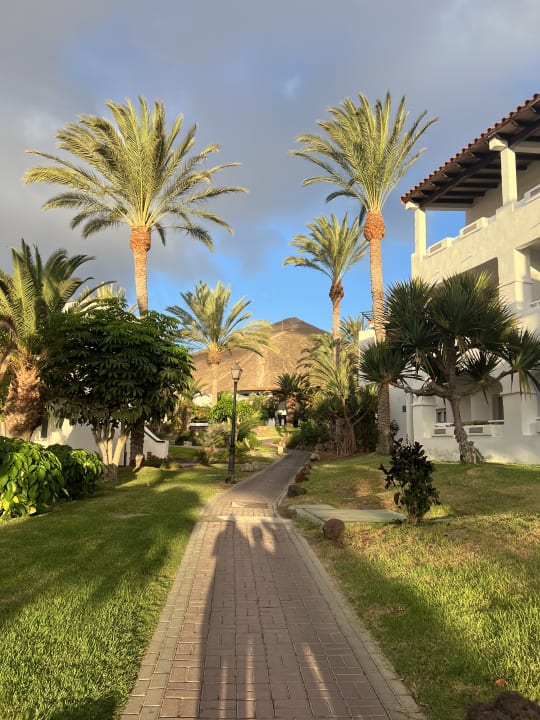 Gartenanlage TUI MAGIC LIFE Fuerteventura