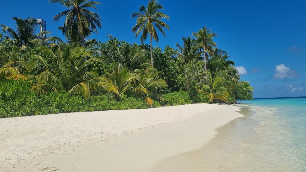 Strand Safari Island Maldives