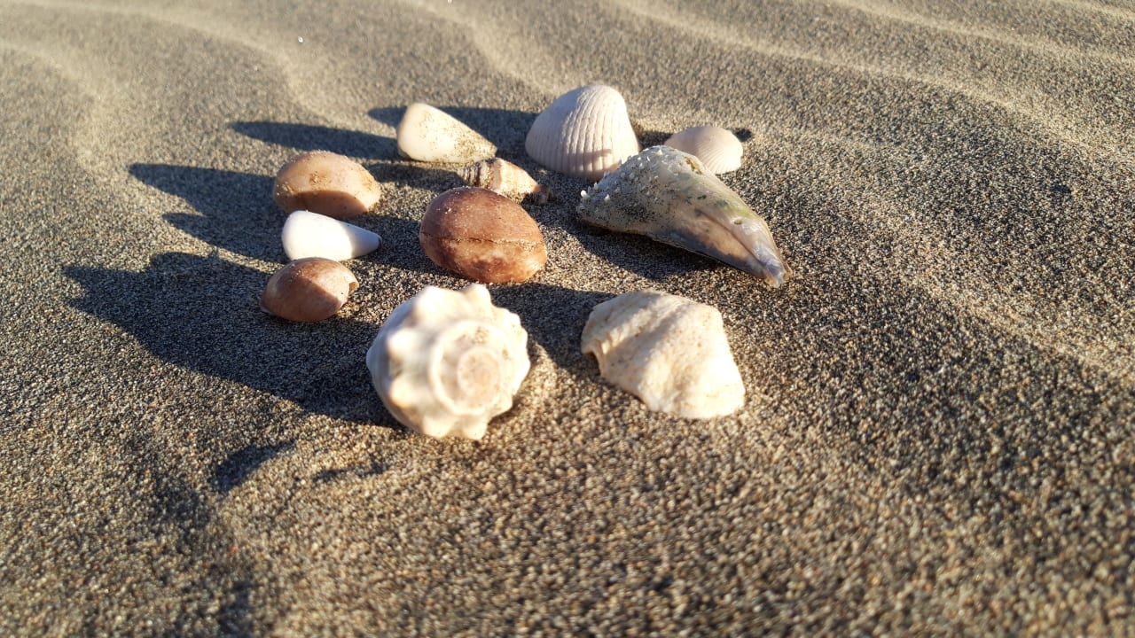 Sonstiges Three Corners Equinox Beach Resort