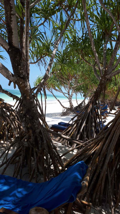 Strand Neptune Pwani Beach Resort & Spa