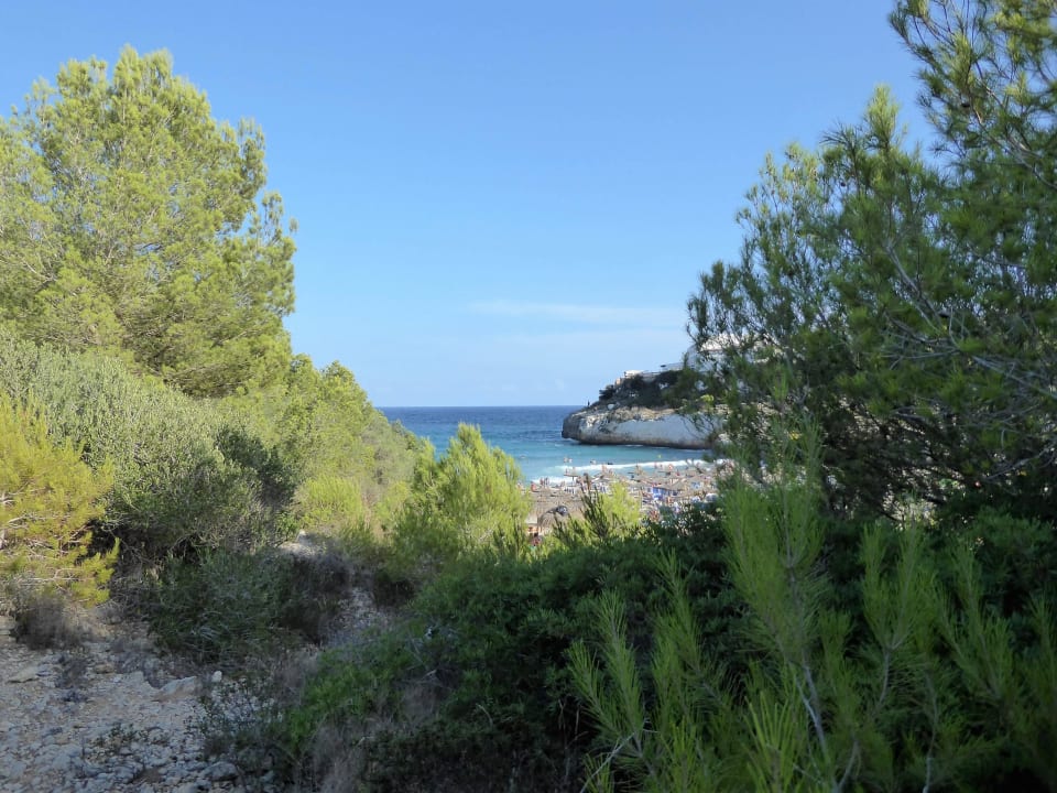 Die Bade-Bucht Iberostar Waves Cala Domingos
