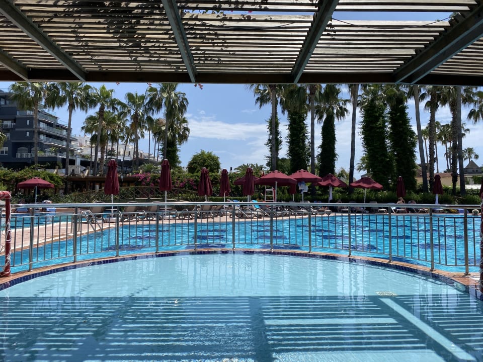 Pool Trendy Palm Beach (Adults Only, 16+)