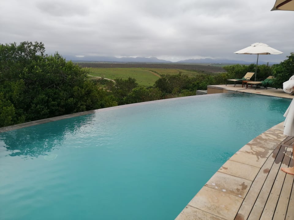 Pool Hotel Garden Route Game Lodge