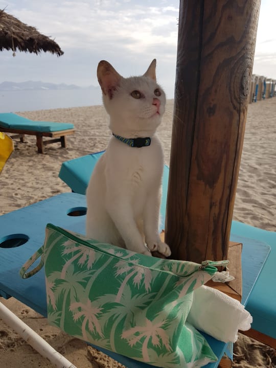 Strand Ilios K Village Resort