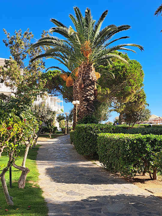 Gartenanlage Apollonia Beach Resort & Spa
