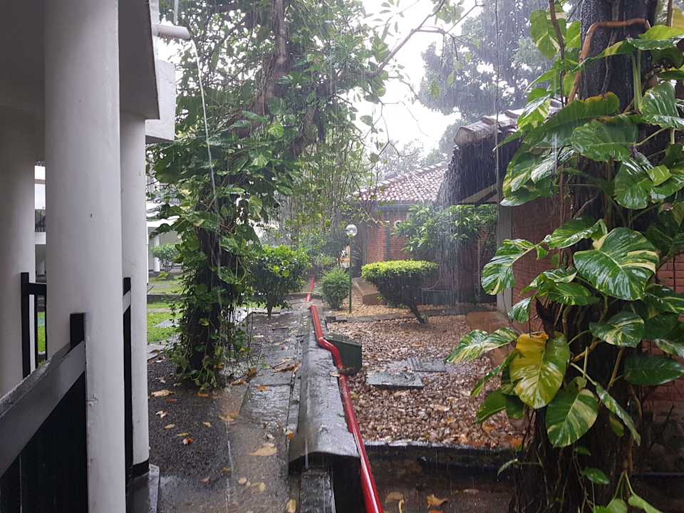 Gartenanlage Club Hotel Dolphin