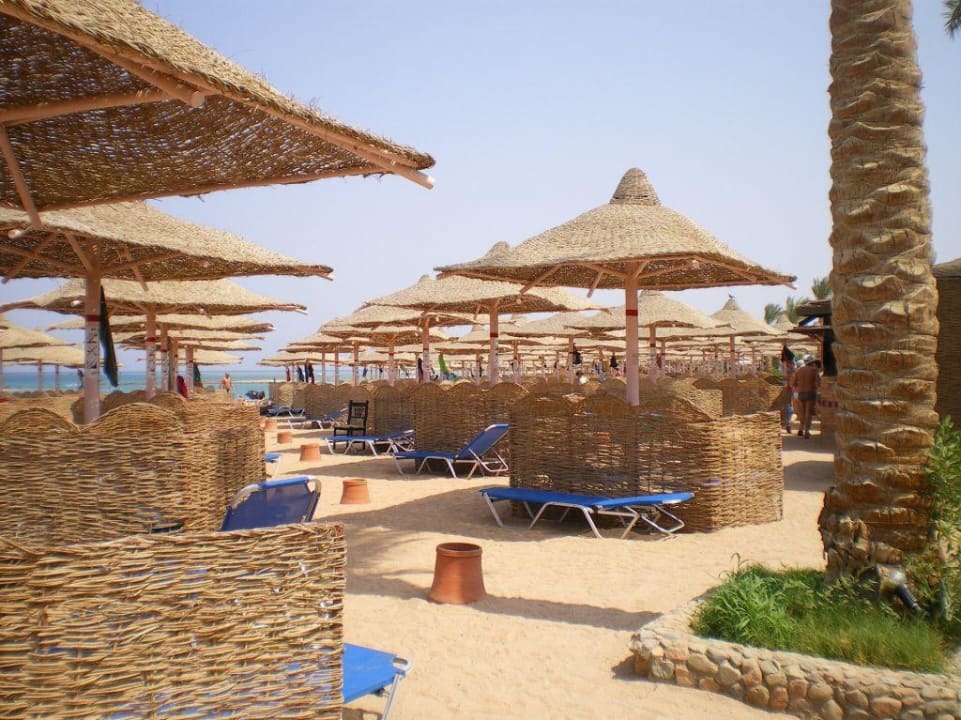 Strand Jaz Makadi Oasis Resort