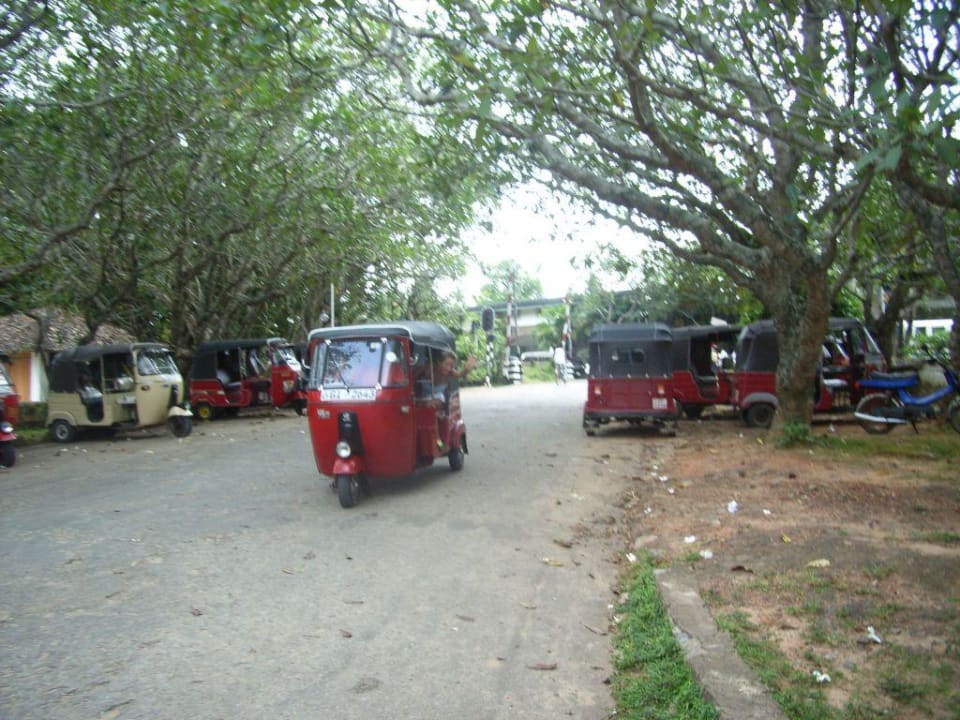 Tuc-Tuc`s vor dem Hotel Thaala Bentota