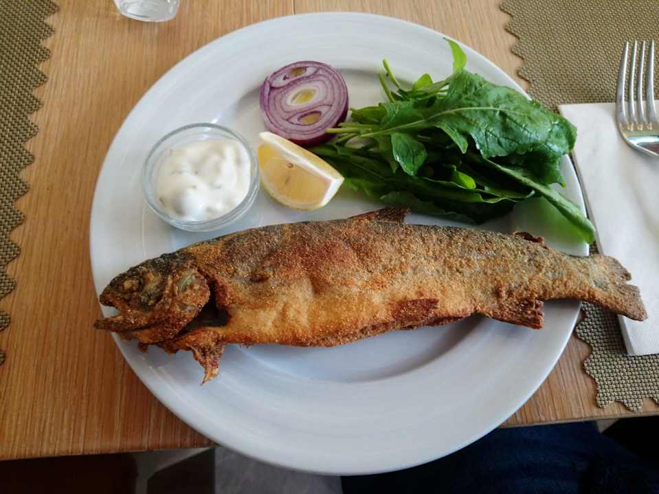 Gastro Acanthus Cennet Barut Collection