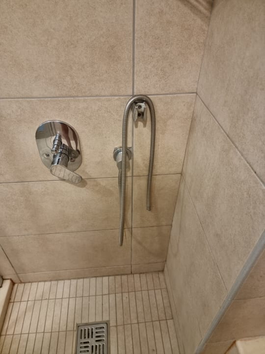 Zimmer Well Palace Side