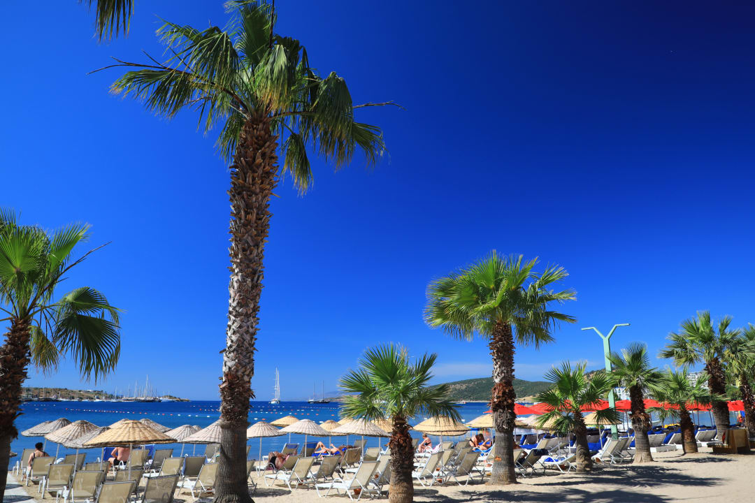 Strand Very Chic Bodrum Adult Only