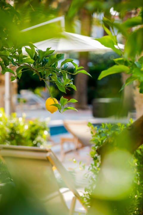 Gartenanlage Hotel Lemongarden