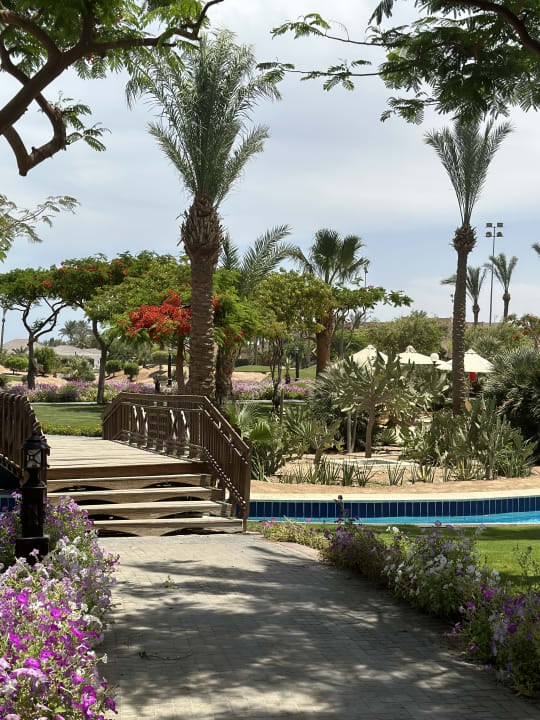 Gartenanlage Steigenberger ALDAU Beach Hotel