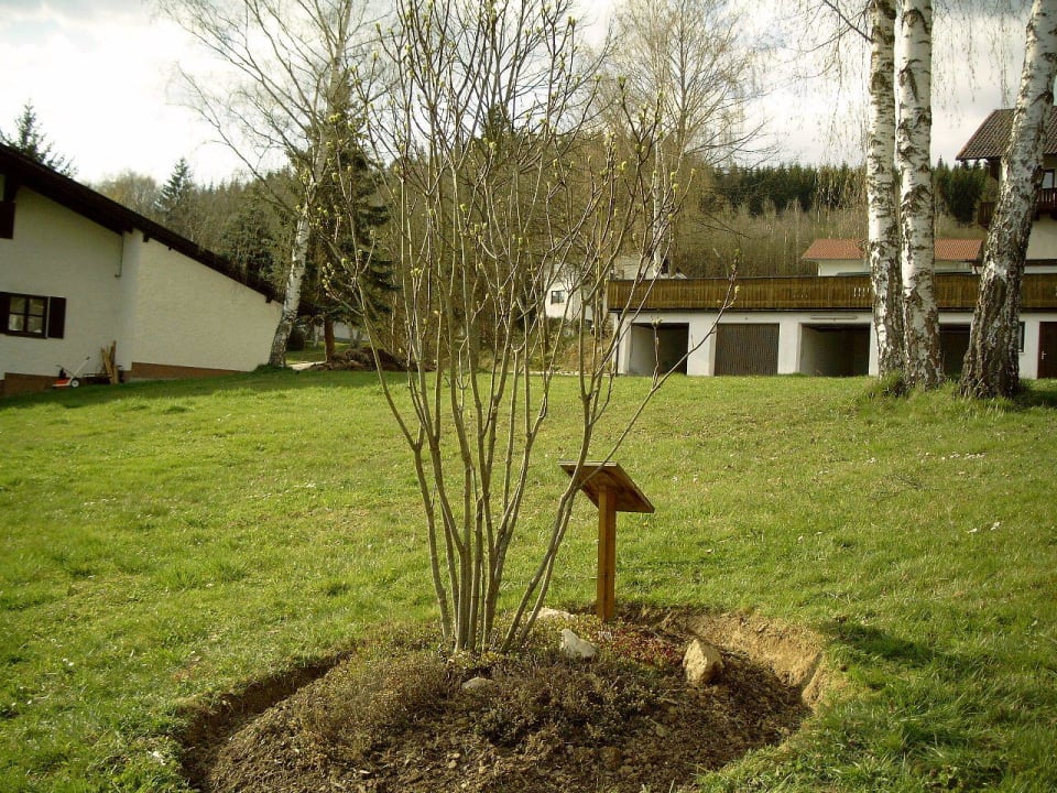 Die Pimpernuß Hotel der Bäume