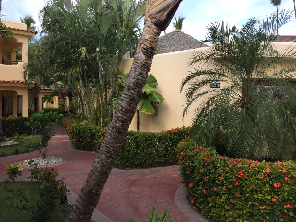 Außenansicht whala!bávaro