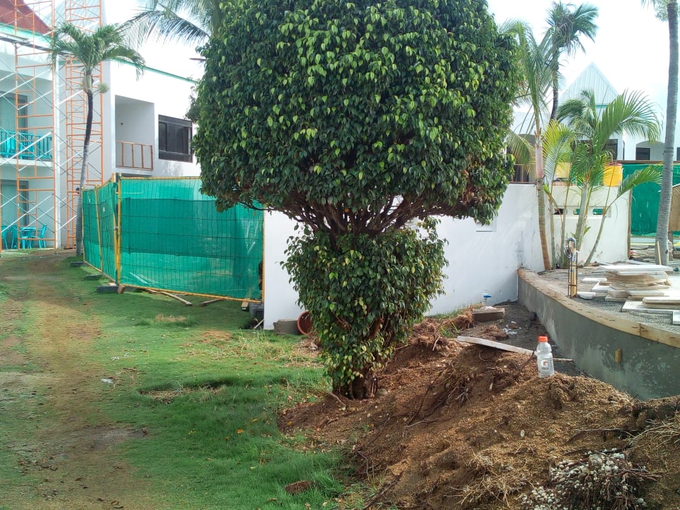 Gartenanlage Hotel The Mill Resort Suites Aruba